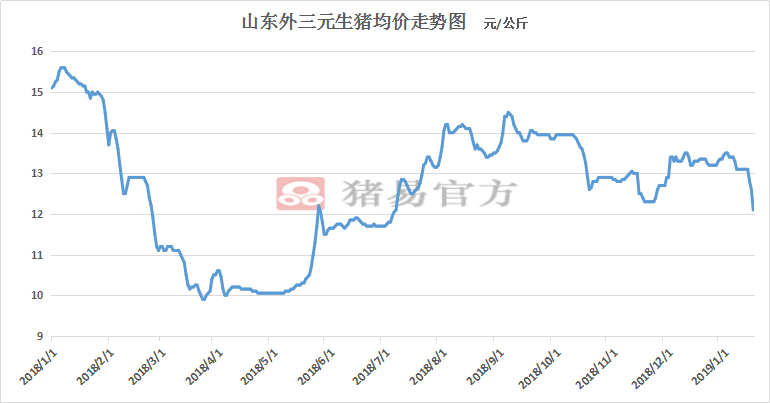 今日猪价走势分析与最新动态