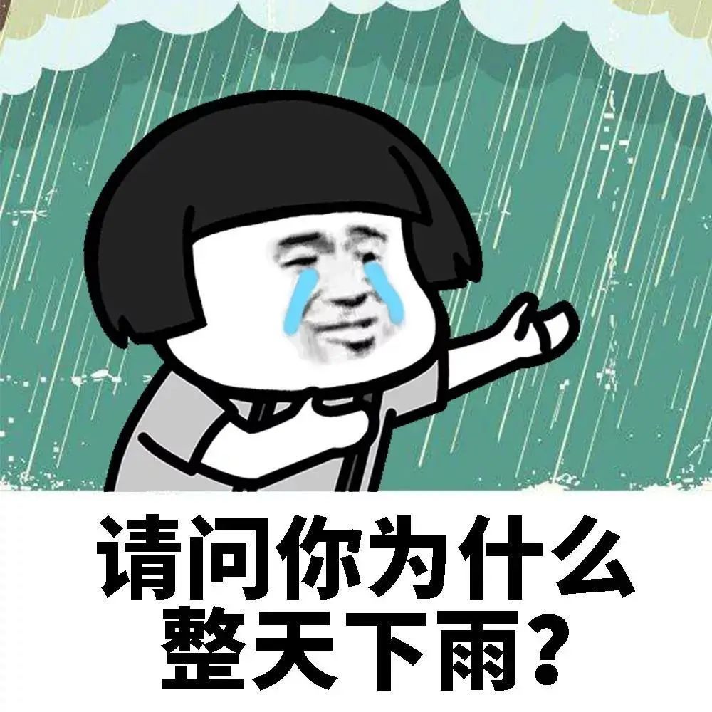 微信最新雨天下载表情包，雨中的情感温馨传递