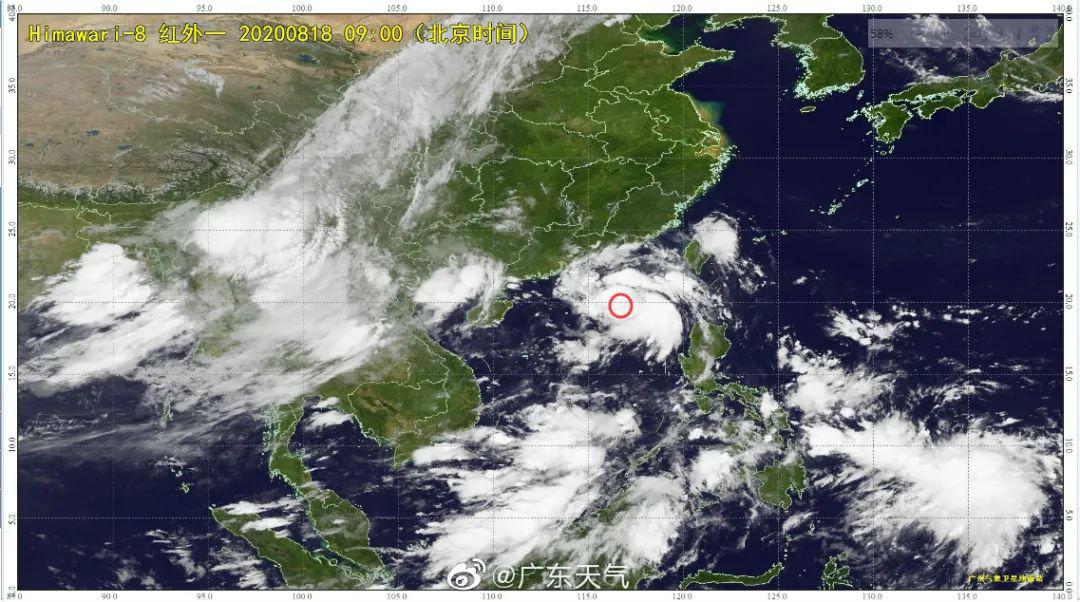 湛江最新天气预报概览