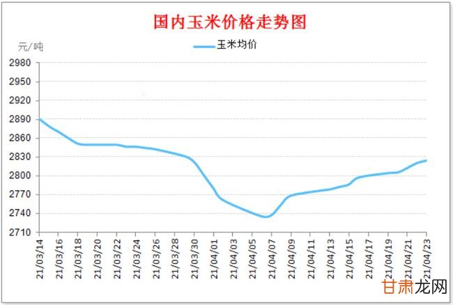 南阳玉米最新价格行情解析