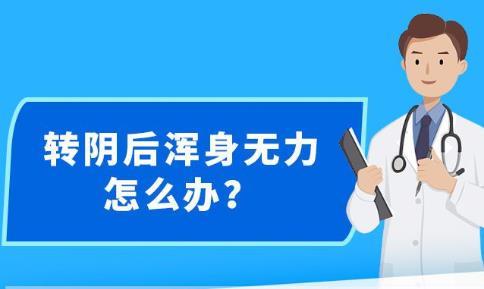 新澳精准资料免费提供,效率资料解释落实_HD84.23.13