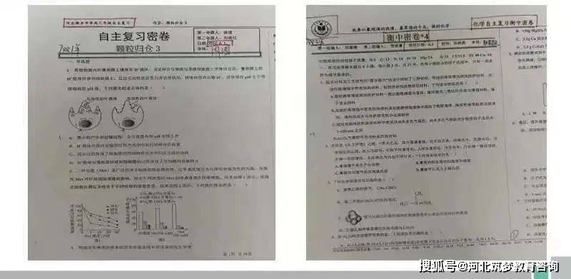 信息技术咨询服务 第80页