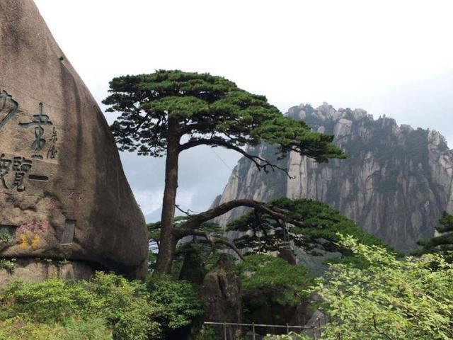 仙界归来，神秘世界奇幻之旅的最新章节阅读