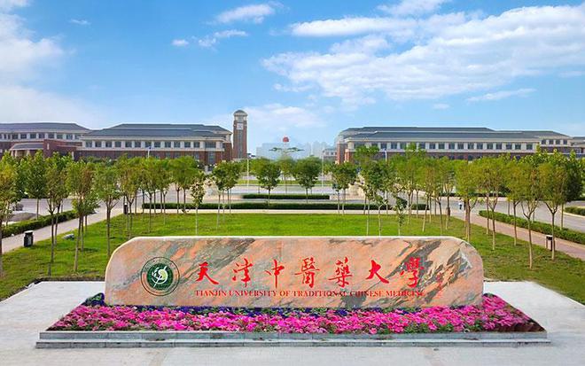 中医药大学的最新排名及其影响力深度探讨