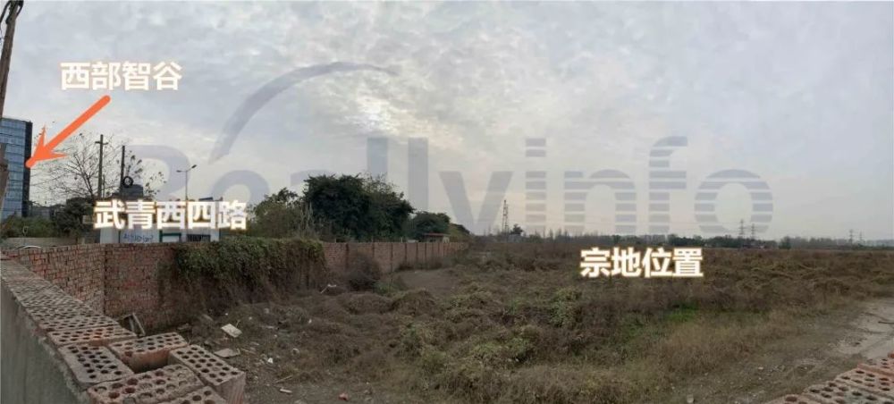 成都土地拍卖最新动态，城市发展与土地市场的激烈角逐