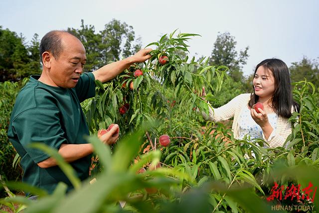 益阳衡龙桥最新动态，迈向未来的重要里程碑